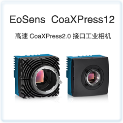 EoSens  CoaXPress12
